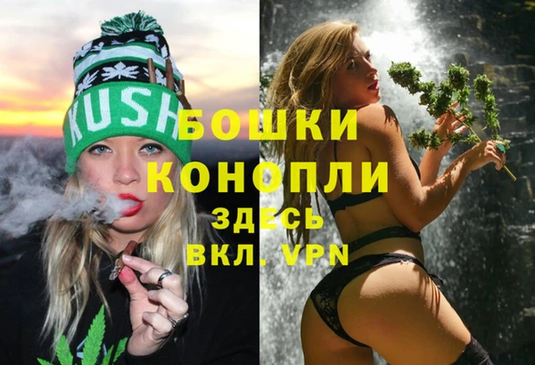 прущие крисы Верея