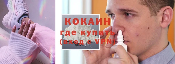 шишки Верхний Тагил