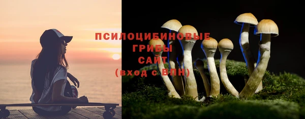 прущие крисы Верея