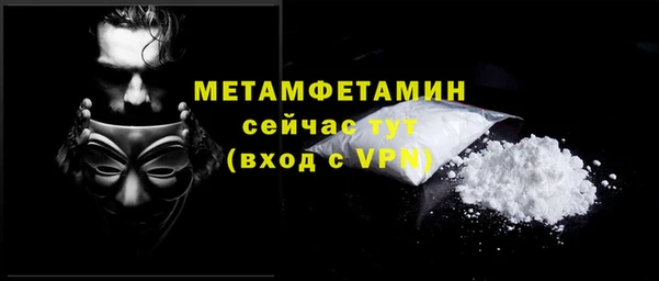 шишки Верхний Тагил
