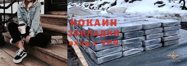 шишки Верхний Тагил