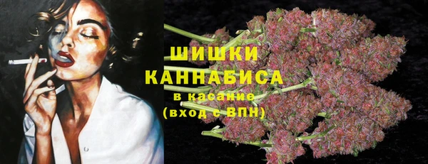прущие крисы Верея