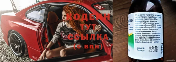 шишки Верхний Тагил