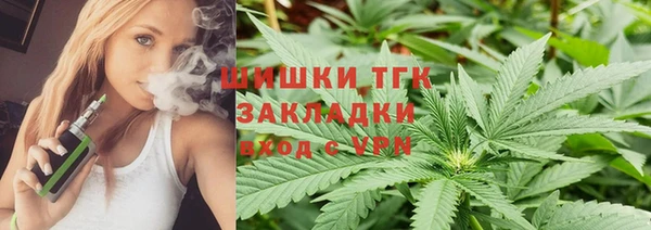 шишки Верхний Тагил