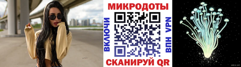 Купить где Красный Холм Галлюциногенные грибы GOLDEN TEACHER
